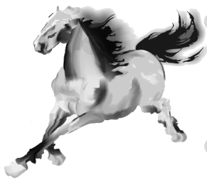 西安火焰驹软件科技有限公司